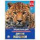 Дикие кошки, 