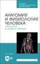 Анатомия и физиология человека. Физиология в схемах и таблицах. Учебное пособие для СПО, Брин Вадим Борисович 