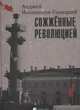 Сожженные революцией. Очерки, Иконников-Галицкий Анджей 
