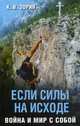 Если силы на исходе. Война и мир с собой, Зорин Константин Вячеславович 