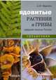 Ядовитые растения и грибы средней полосы России. Иллюстрированный справочник, Ефремов Александр Павлович 