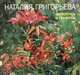 Наталия Григорьева. Живопись и графика, Боровский А. 