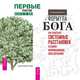 Формула Бога. Первые после Бога (количество томов: 2), 