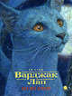 Варджак Лап. Кот вне закона, Сэйд С.Ф. 