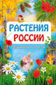 Растения России. Энциклопедия для детей, 