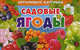 Садовые ягоды. Обучающие карточки, 