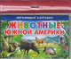 Животные Южной Америки, 