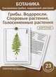 Ботаника. Систематика грибов, водорослей, растений. Блок 1: Грибы. Водоросли. Споровые растения. Голосеменные растения. 23 гербарных карточки, Луферов А. Н., Анцышкина А. М., Простодушева Т. В. 