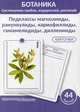 Ботаника. Систематика грибов, водорослей, растений. Блок 2: Подклассы магнолииды, ранункулиды, кариофиллиды, гамамелидиды, дилленииды. 44 гербарных карточек, Луферов А. Н., Анцышкина А. М., Простодушева Т. В. 