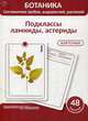 Ботаника. Систематика грибов, водорослей, растений. Блок 4: Подклассы ламииды, астериды. 48 герберных карточки, Луферов А. Н., Анцышкина А. М., Простодушева Т. В. 