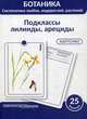 Ботаника. Систематика грибов, водорослей, растений. Блок 5: Подклассы лилииды, арециды. 25 гербарных карточки, Луферов А. Н., Анцышкина А. М., Простодушева Т. В. 