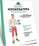 Мускулатура. Построй свое тело!, Манги Фабьен 