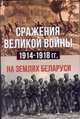 Сражения великой войны 1914-1918 гг. на землях Беларуси, Петров Максим Николаевич, Евсеев Николай Федорович, Подорожный Николай Емельянович, Фогель Вальтер 