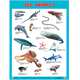 Плакаты (англ). Sea Animals (Морские обитатели), 