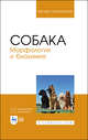 Собака. Морфология и биохимия. Учебное пособие для ВО, Зеленевский Н.В., Конопатов Ю.В. 
