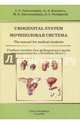 Urogenital System. The manual for medical students, Гайворонский Иван Васильевич, Ничипорук Геннадий Иванович, Курцева Анна Андреевна, Гайворонская Мария Георгиевна 