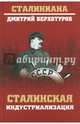 Сталинская индустриализация, Верхотуров Дмитрий Николаевич 