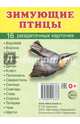 Раздаточные карточки "Зимующие птицы" (16 карточек), 