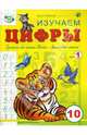 Изучаем цифры, Полярный Антон, Никольская Ева 
