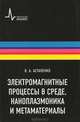 Электромагнитные процессы в среде, наноплазмоника и метаматериалы, Астапенко Валерий Александрович 