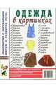 Одежда в картинках. Наглядное пособие для педагогов, логопедов, воспитателей и родителей, 