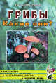 Грибы. Какие они?: Книга для воспитателей, гувернеров и родителей - (Серия "Путешествие в мир природы. Развитие речи"), Шорыгина Татьяна Андреевна 