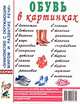 Обувь в картинках. Наглядное пособие для педагогов, логопедов, воспитателей и родителей. А4, Кулов С. 