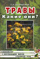 Травы. Какие они? Книга для воспитателей, гувернеров и родителей, Шорыгина Татьяна Андреевна 