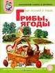Мир растений и грибов. Грибы. Ягоды: тематический словарь в картинках. Программа "Я - человек", Васильева Светлана Александровна 