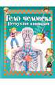 Тело человека. Нескучная анатомия, Родригес-Вида Алехо 