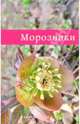 Морозники, Шевырева Наталья Александровна, Коновалова Татьяна Юрьевна 