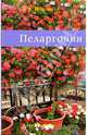 Пеларгонии, Широкова А.В. 