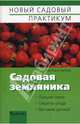 Садовая земляника, Хапова Светлана 