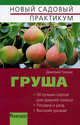 Груша. (Новый садовый практикум), Тонких Дмитрий 