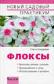 Флоксы, Ольга Николаевна Бондарева 