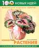 Комнатные растения, Анисимова Анастасия Владимировна 