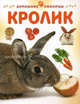 Кролик, Мэтью Рейнер 