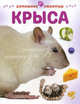Крыса, Мэтью Рейнер 