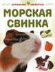 Морская свинка, Мэтью Рейнер 