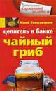 Целитель в банке. Чайный гриб, Юрий Константинов 