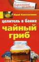 Целитель в банке. Чайный гриб, Андрей Константинов, Юрий Константинов 