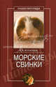 Морские свинки, Кулагина Кристина Александровна 