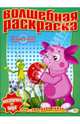 Водная раскраска № 0809 (Лунтик и его друзья), 