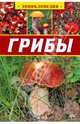 Грибы. Энциклопедия, Аристамбекова Наталья 
