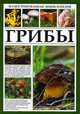 Иллюстрированная энциклопедия. Грибы, 