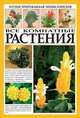 Все комнатные растения. Иллюстрированная энциклопедия, Кашин 
