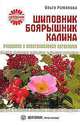 Ольга Романова: Шиповник, боярышник, калина: очищение и восстановление организма, Романова Ольга Владимировна 