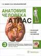 Анатомия человека: атлас. Учебное пособие. В 3-х томах. Том 1: Опорно-двигательный аппарат. Остеология; Синдесмология; Миология, Билич Габриэль Лазаревич, Крыжановский Валерий Анатольевич 