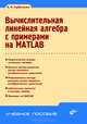 Вычислительная линейная алгебра с примерами на MATLAB. Горбаченко В.И., Горбаченко Владимир Иванович 