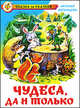 Чудеса, да и только, Абрамцева Наталья Корнельевна 